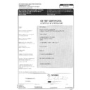 dvd 21 (serv.man12) emc - cb certificate