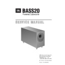 bass 20 service manual