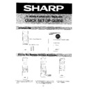 Sharp 59CS-03H (serv.man13) User Guide / Operation Manual