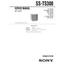Sony DAV-S300, SS-TS300 Service Manual