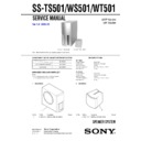 Sony DAV-S400, SS-TS501, SS-WS501, SS-WT501 Service Manual