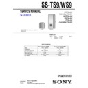 Sony DAV-SB100, SS-TS9, SS-WS9 Service Manual