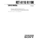 Sony HST-A110, HST-A110K, LBT-A110, LBT-A110K, LBT-A110KDX Service Manual