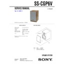 ss-cgp6v service manual