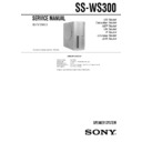 ss-ws300 service manual