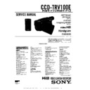 Sony CCD-TRV100E Service Manual