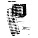 Sharp 37DM-23H (serv.man12) User Guide / Operation Manual